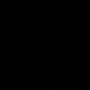 Meet your Posher, Shadonna